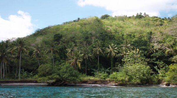 Paket tour 2 hari + snorkeling
